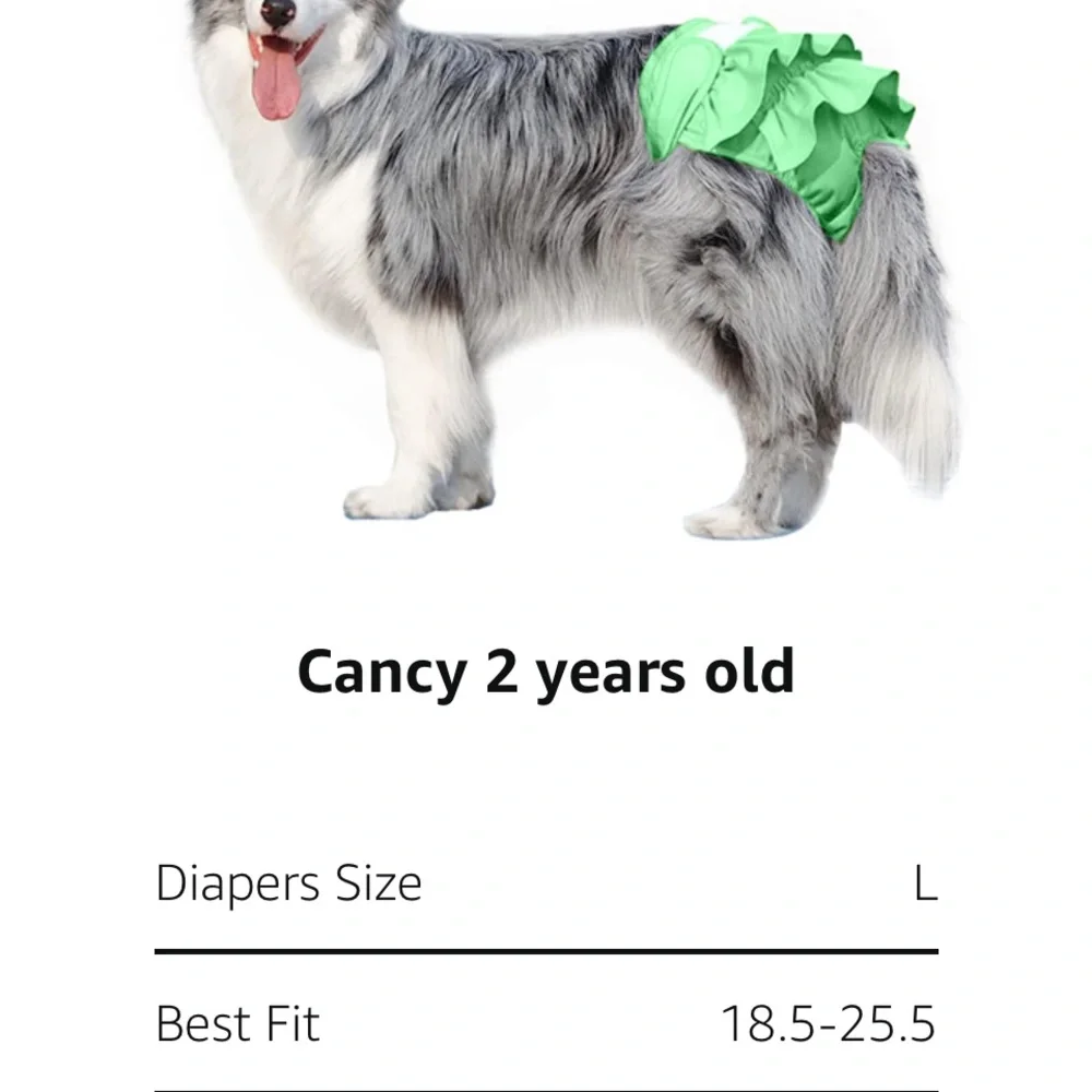 Ruffled Puppy Diapers in Pink and Blue size L (see photo measurements)